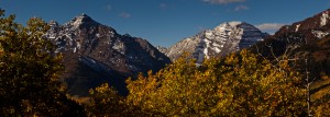 scenic aspen
