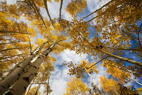 relax in aspen - aspen itinerary