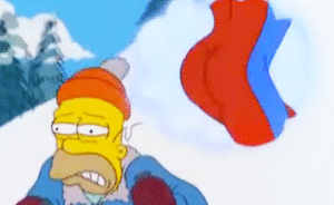 simpsons ski