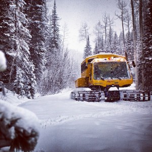 Snowcat