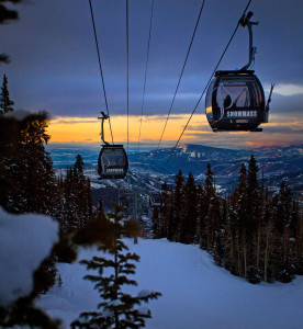 Aspen at Dusk