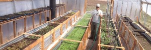 hoop house