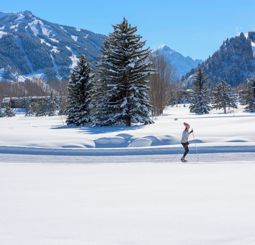 Cross Country Skiing