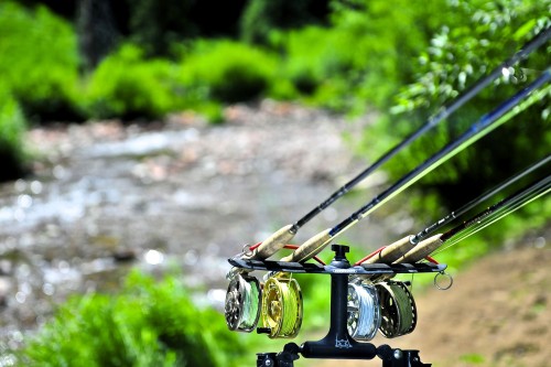 Fly fishing in Aspen