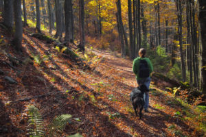 best Fall hikes in ketchum