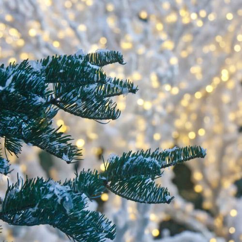 Best Backcountry Skiing Routes in Sun Valley The Limelight Hotel