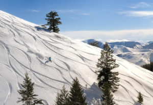 Best of Bald mountain blue runs