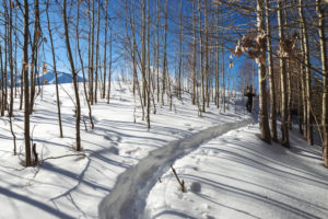 snowshoe spots