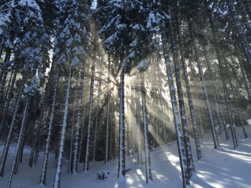48 Hours in Ketchum