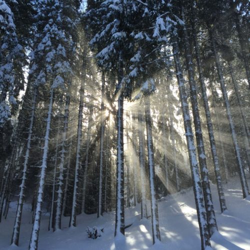 48 Hours in Ketchum