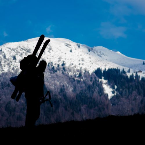 Our Favorite Snowshoeing Trails in Sun Valley The Limelight Hotel