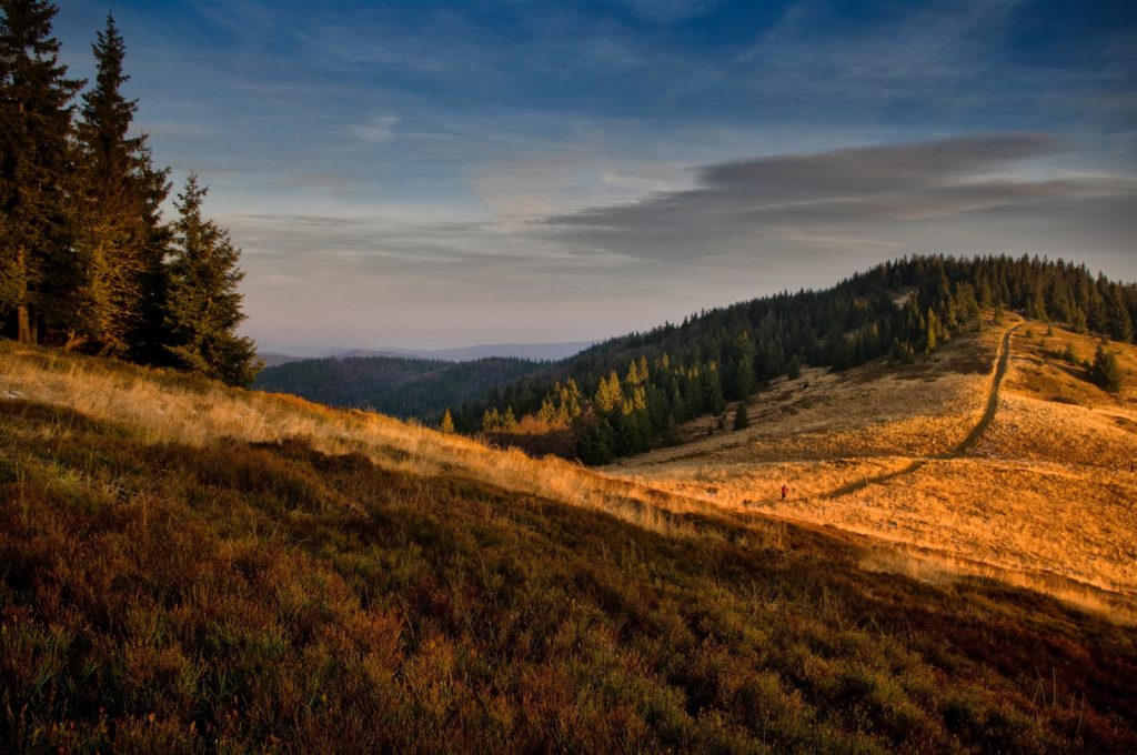 golden hour