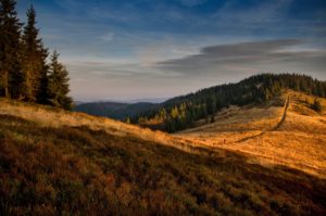 golden hour