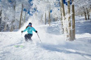 Perfect Ski Day